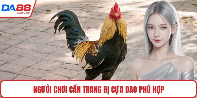Người chơi cần trang bị cựa dao phù hợp Người chơi cần trang bị cựa dao phù hợp
