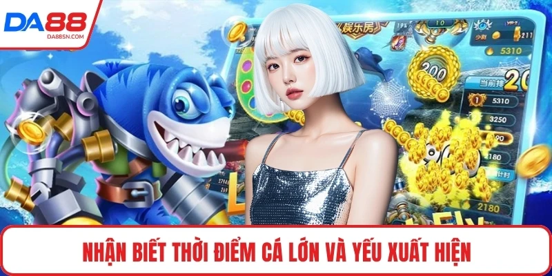 Nhận biết thời điểm cá lớn và yếu xuất hiện